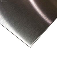 De boa qualidade 304 hl placa de aço inoxidável laminada a frio para a porta